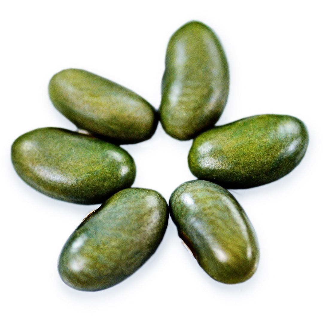 Mbombo Green Beans arranged in a circle on a white background.