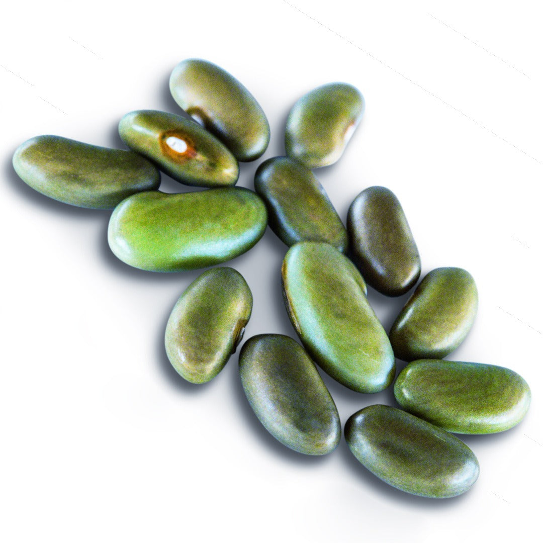 Mbombo Green Beans arranged in a grouping on white.