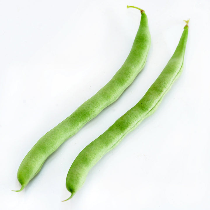 A couple of McCaslan 42 Pole Beans. resting on a white background.