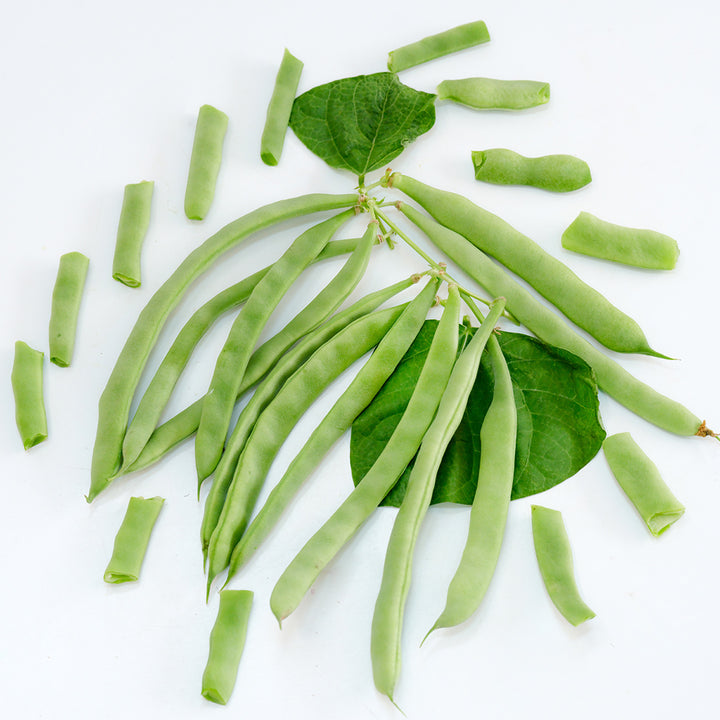 McCaslan 42 Pole Beans. Arranged with foliage on a white background.