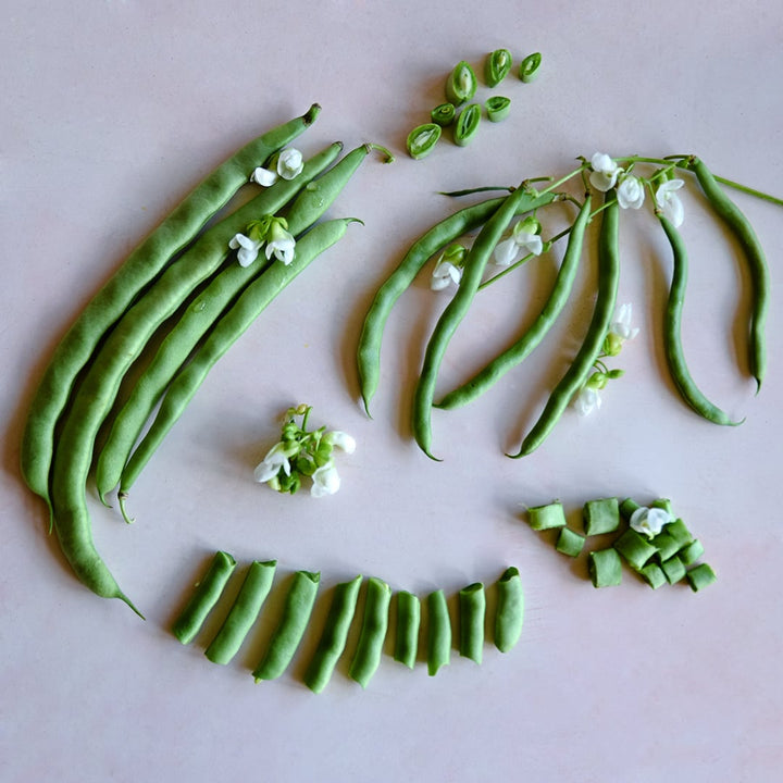 Cut and whole McCaslan 42 Pole Beans arranged with blooms on a light pink background.