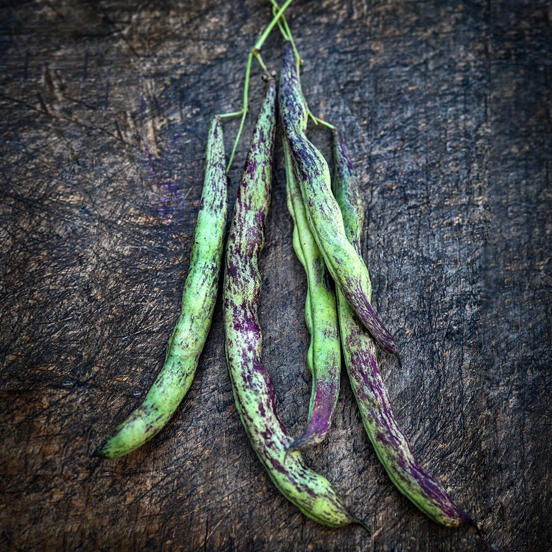 Bean Seeds, Rattlesnake Pole