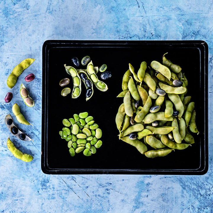 A black rectangular plate of steamed Tankuro Soybeans on a light blue background.