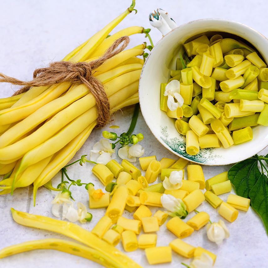 Bundled whole and chopped Sonesta Wax Bush Beans in a teacup on a light background.