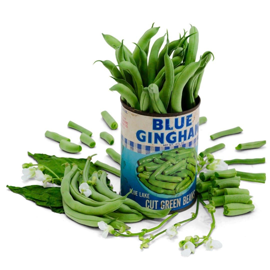 Blue Lake Bush 274 Beans in a vintage can on a white background.