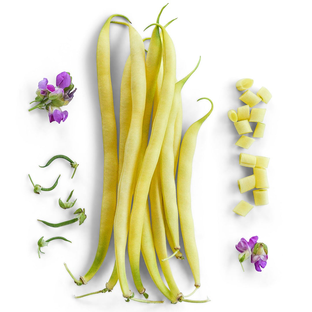 Beurre De Rocquencourt Beans with blooms on a white background.