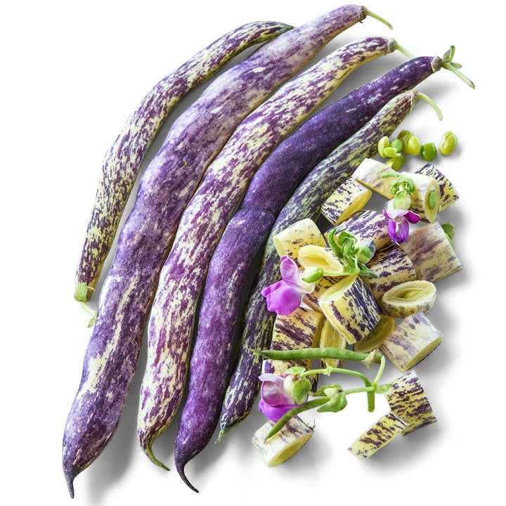 Cut and whole Dragon Tongue Bush Beans with blooms on a white background.
