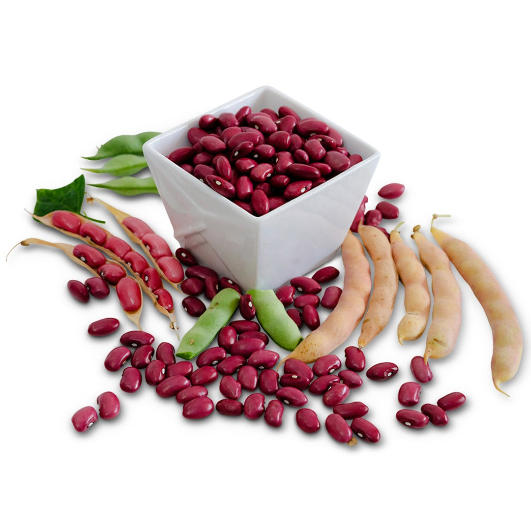 Bean Seeds, Hidatsa Red Indian