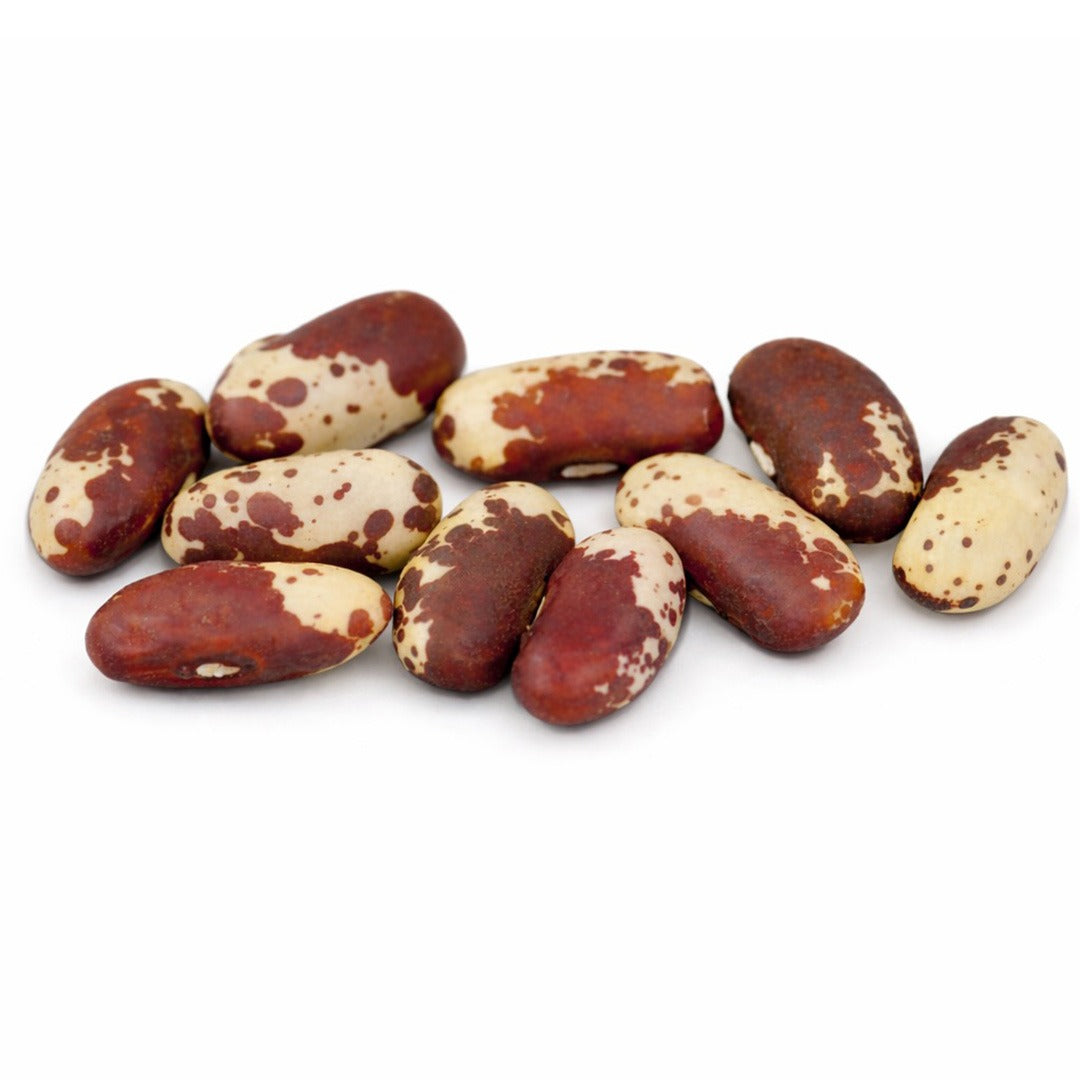 A handful of Jacob's Cattle Beans on a white background.