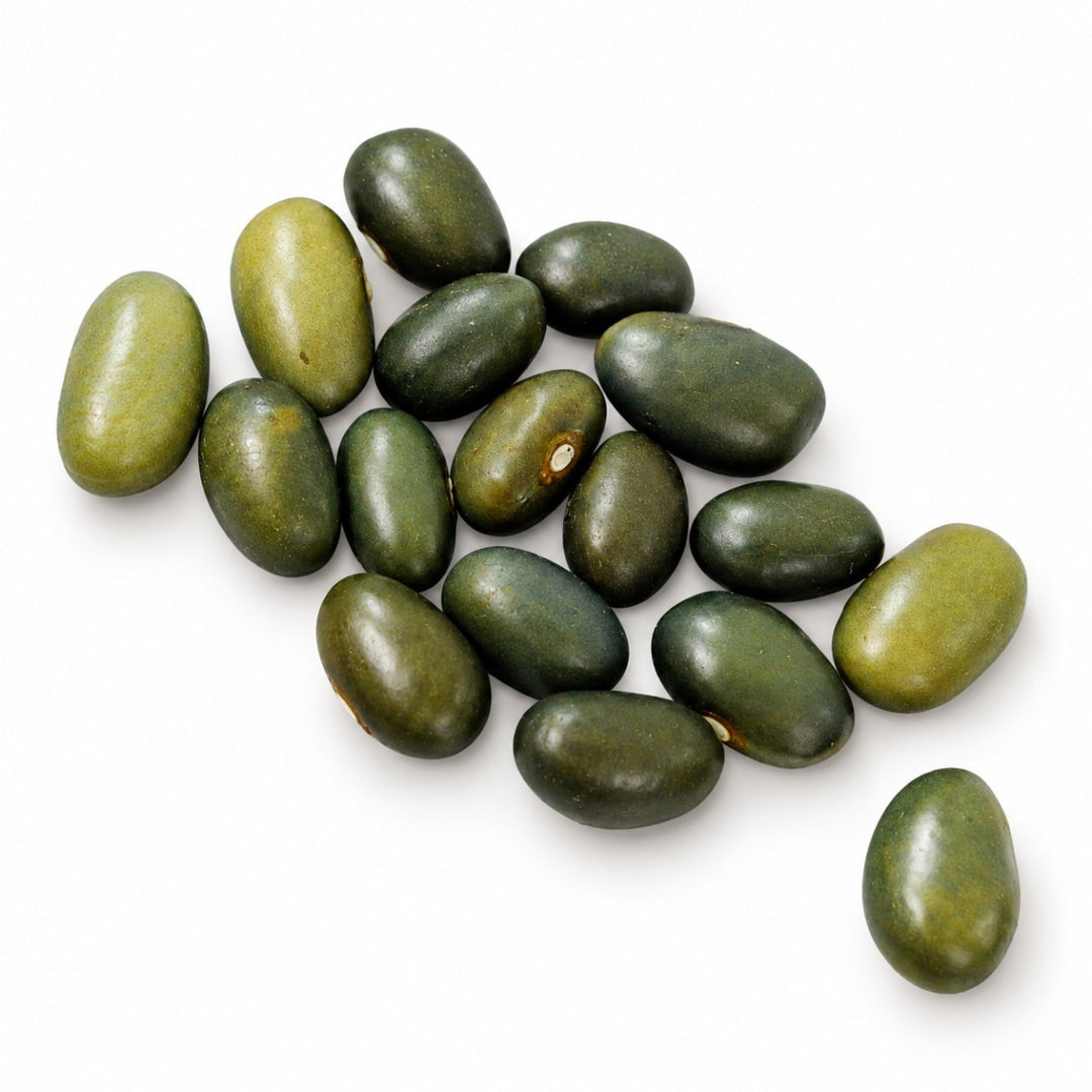 Malawi Green common beans on a white background.