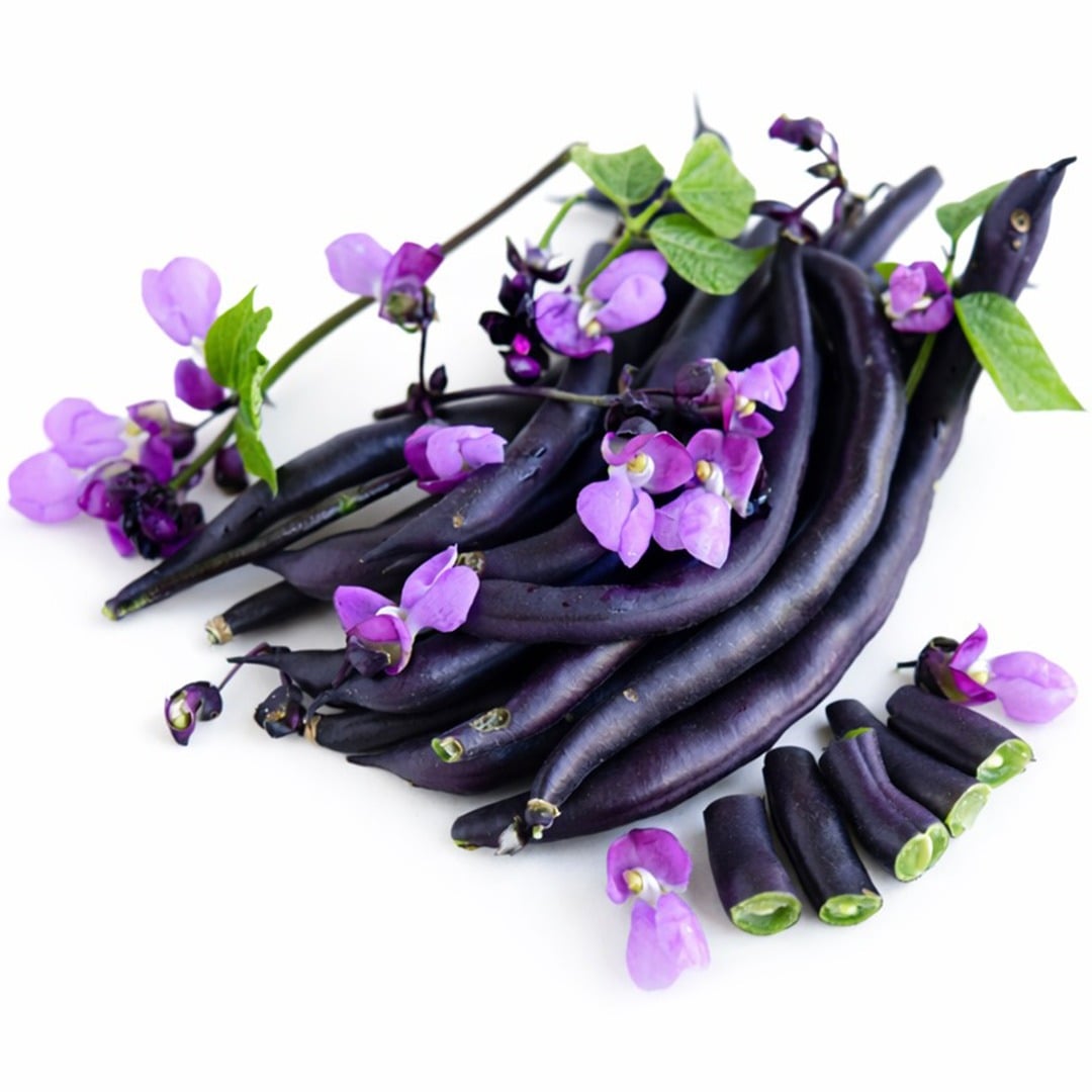 A close-up macro view of Purple Teepee Beans with pink blooms.