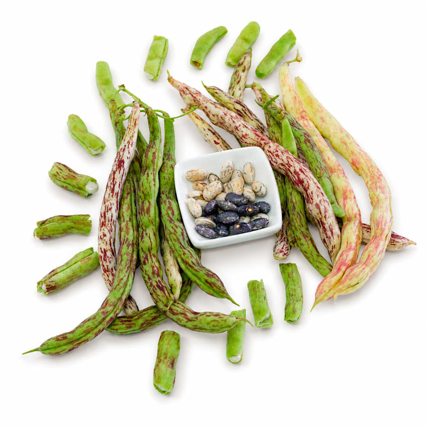 Bean Seeds, Rattlesnake Pole