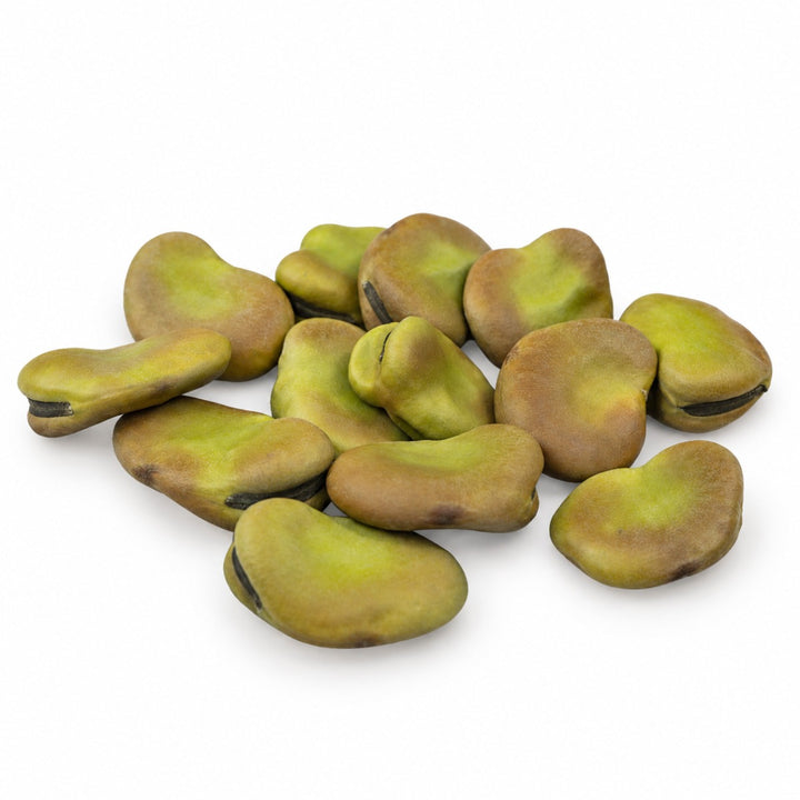 Fava Bean Seeds, Masterpiece