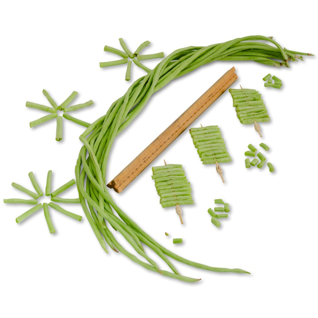 Arranged chopped and whole Taiwan Yard-Long Beans with a ruler on a white background.