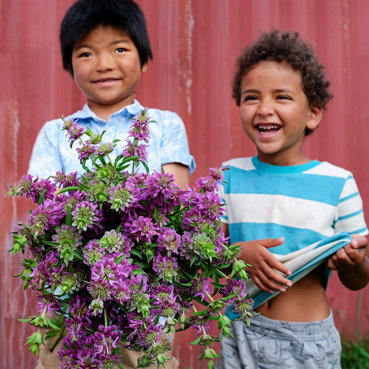 A couple of laughing children holding a bouquet of Lemon Bee Balm against a red background.