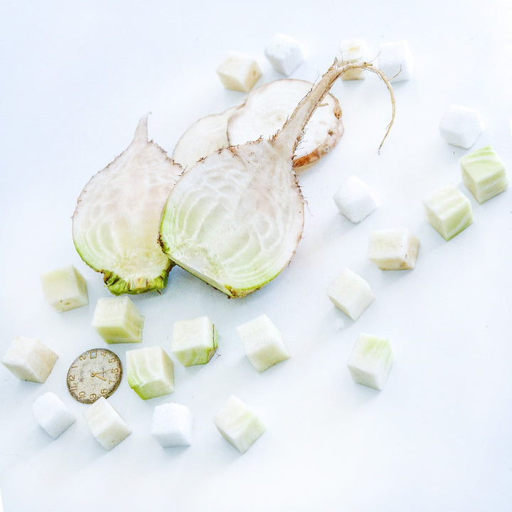 Cut Albino Beets with a watch face on a white background.