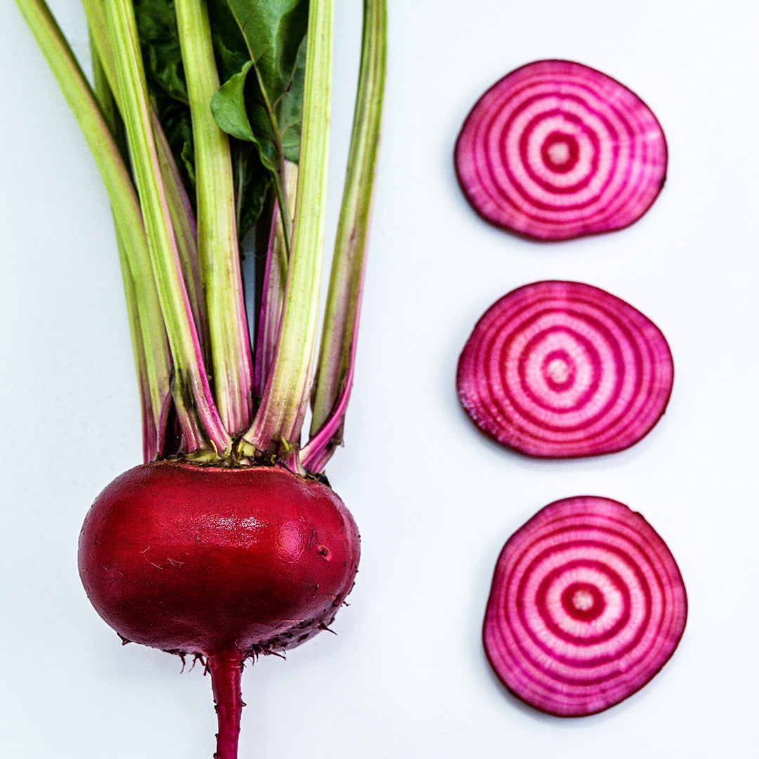 A whole Chioggia (Bassano) Beet with a trio of slices on a white background.