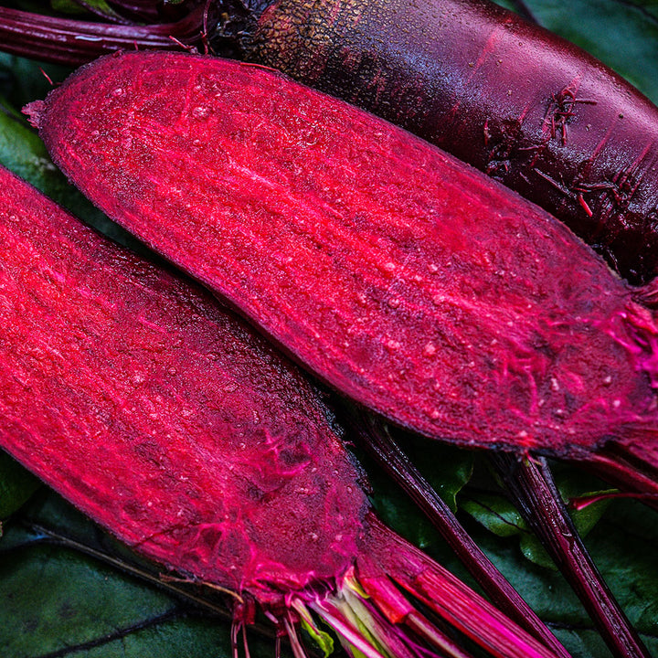 An extreme close-up view of sliced and whole Renova Beets.