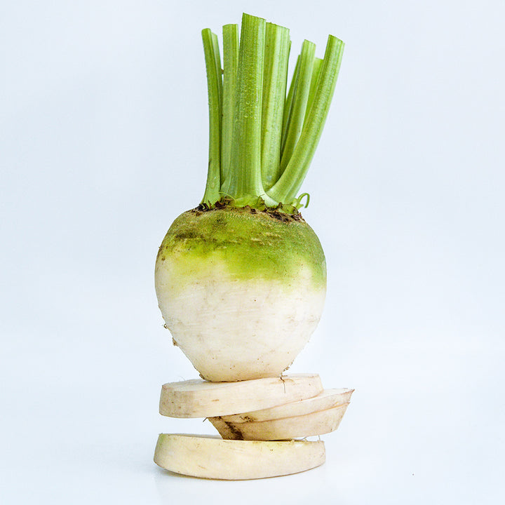A single Albino Beet balanced on slices against a white background.