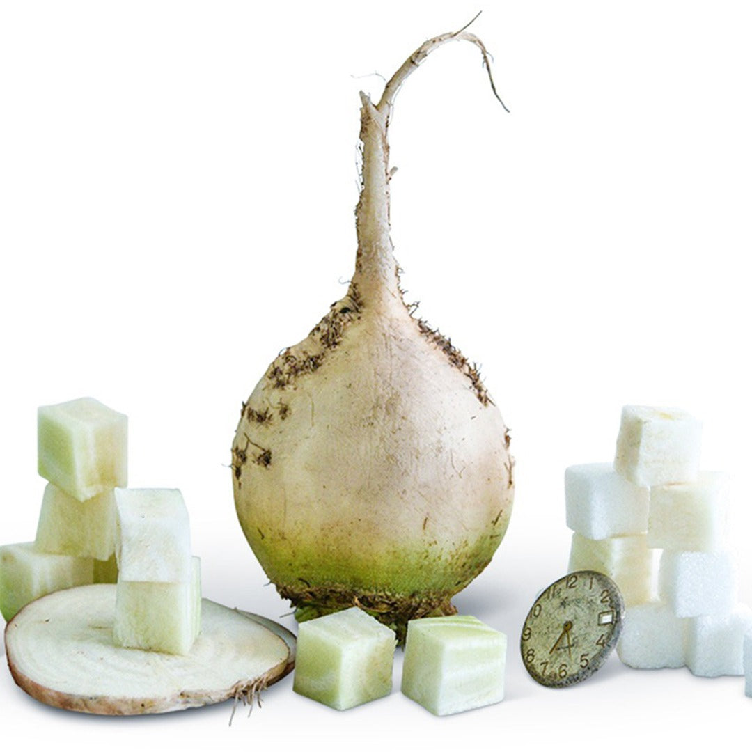An Albino Beet surrounded by sugar cubes and square cut beets on a white background.