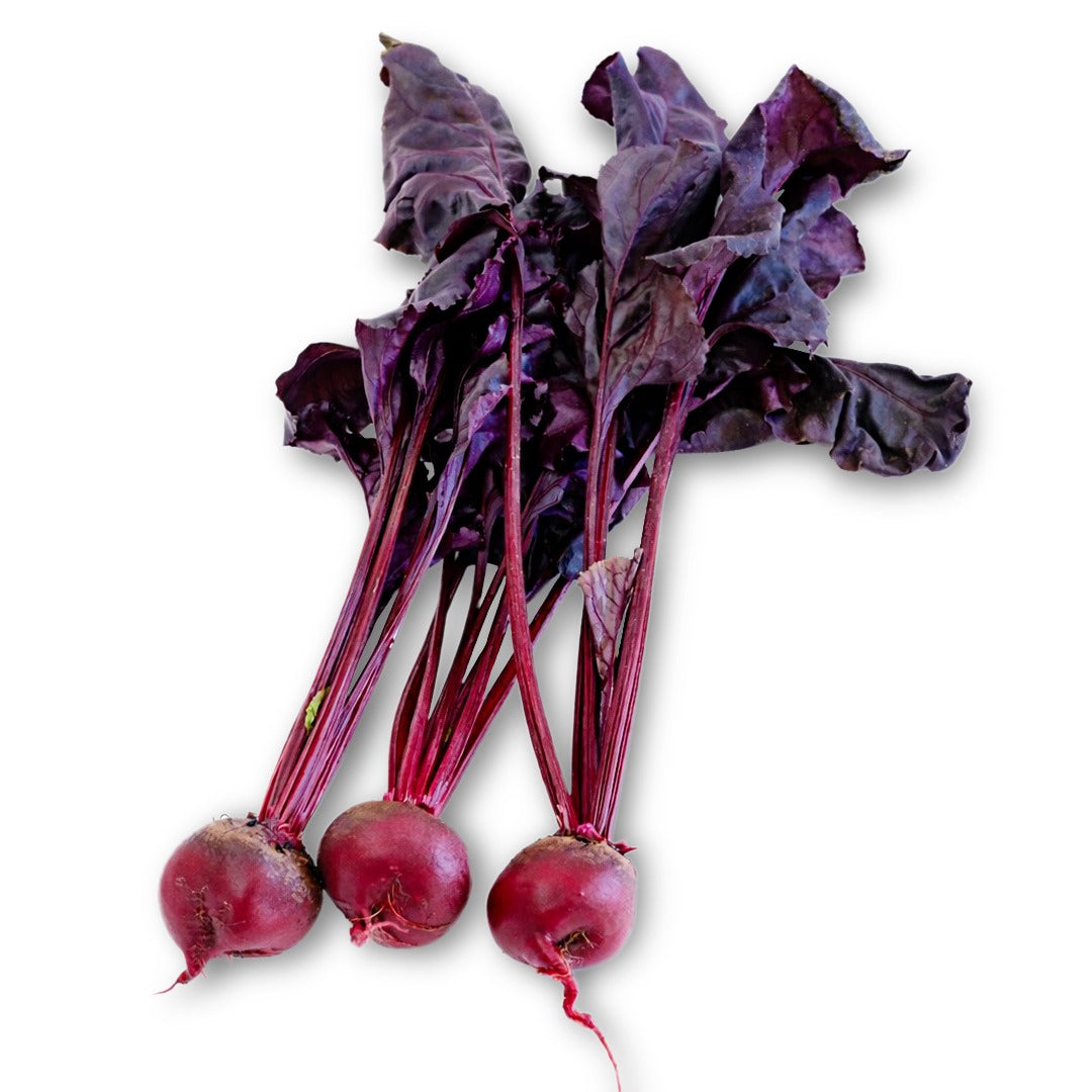 A trio of whole Bull's Blood Beets with foliage attached on a white background.