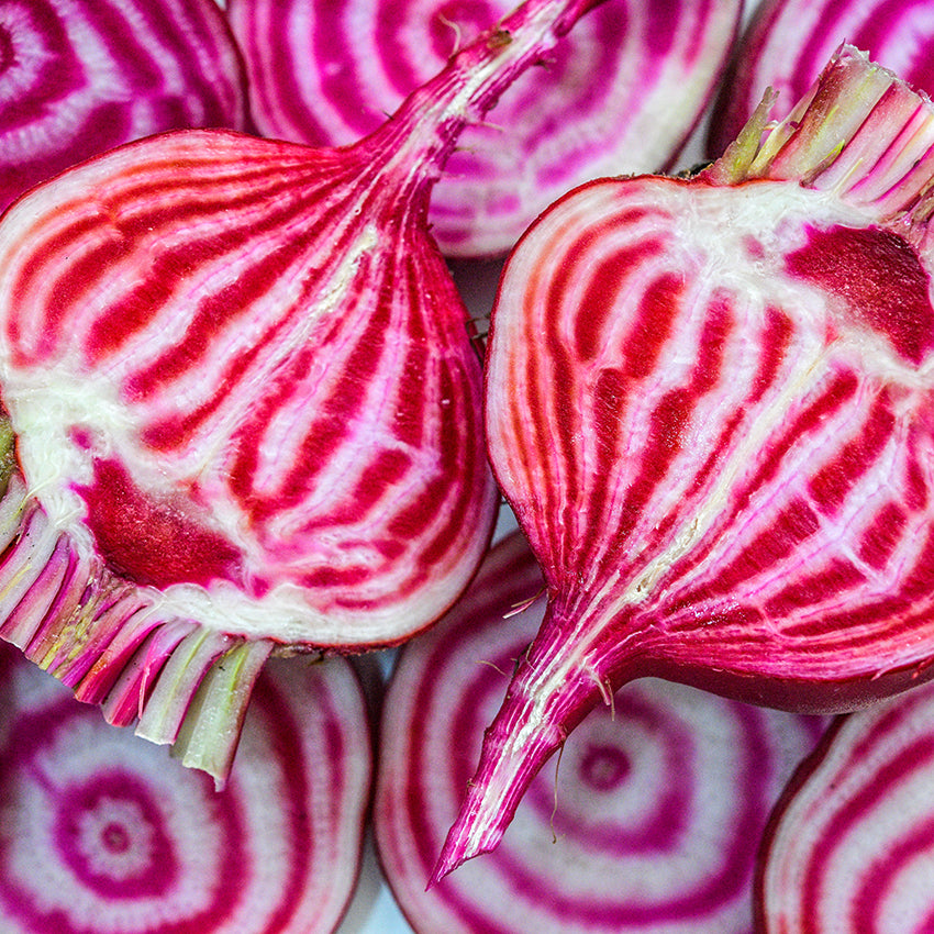 A close-up macro view of Chioggia (Bassano) Beet halves and slices.
