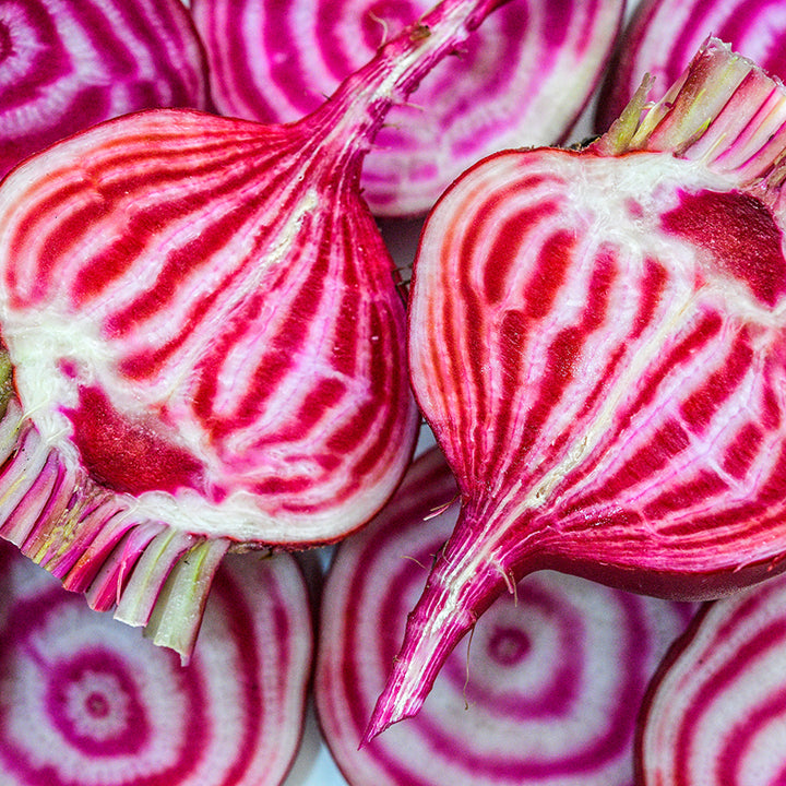 A close-up macro view of Chioggia (Bassano) Beet halves and slices.