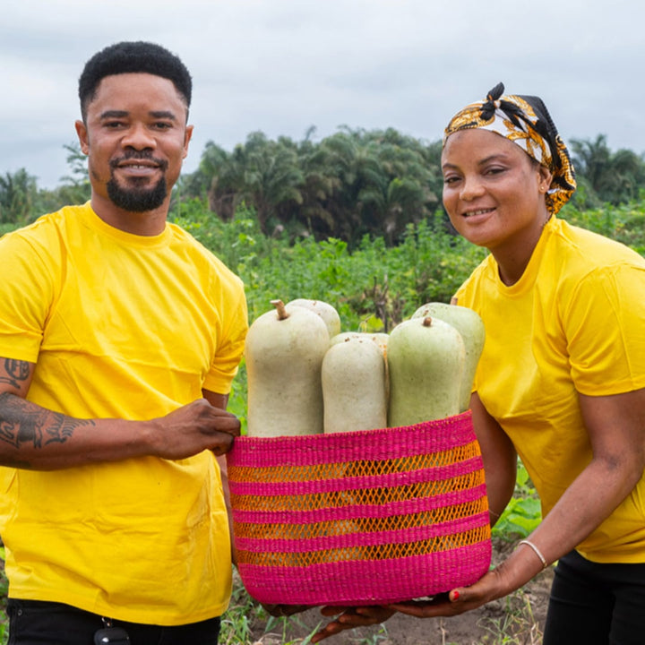 Baker Creek seed growers show off Giant Bello Gourds in a basket at their farm in Ghana.