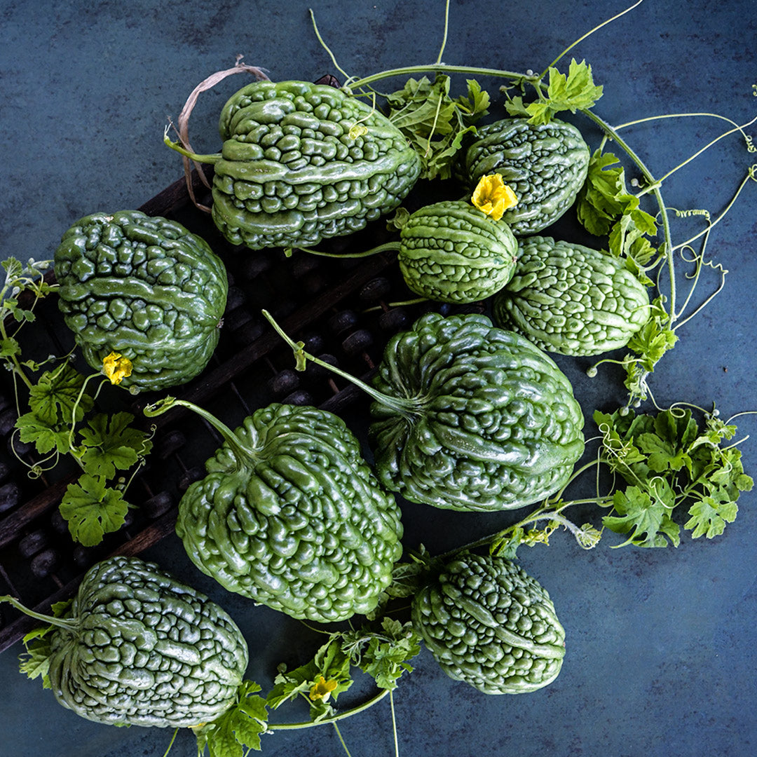 Big Top Bitter Melons arranged on a jade colored background with foliage and flowers.