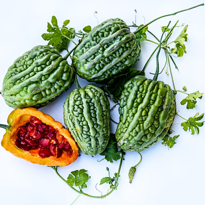 Cut and whole Big Top Bitter Melons arranged with seeds and foliage on a white background.