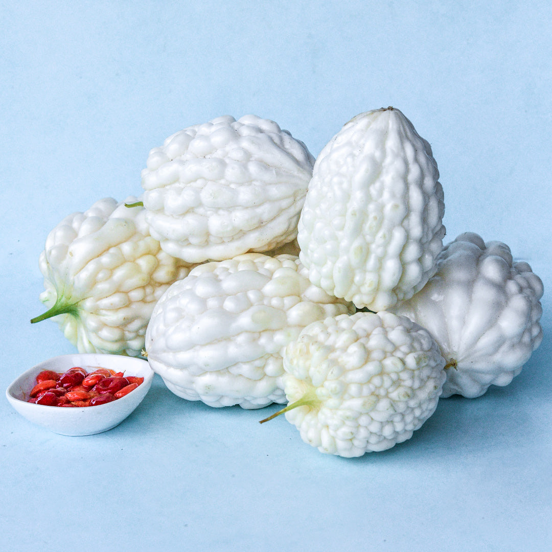 Pearl Goya Bitter Melons with seeds on a light blue background.