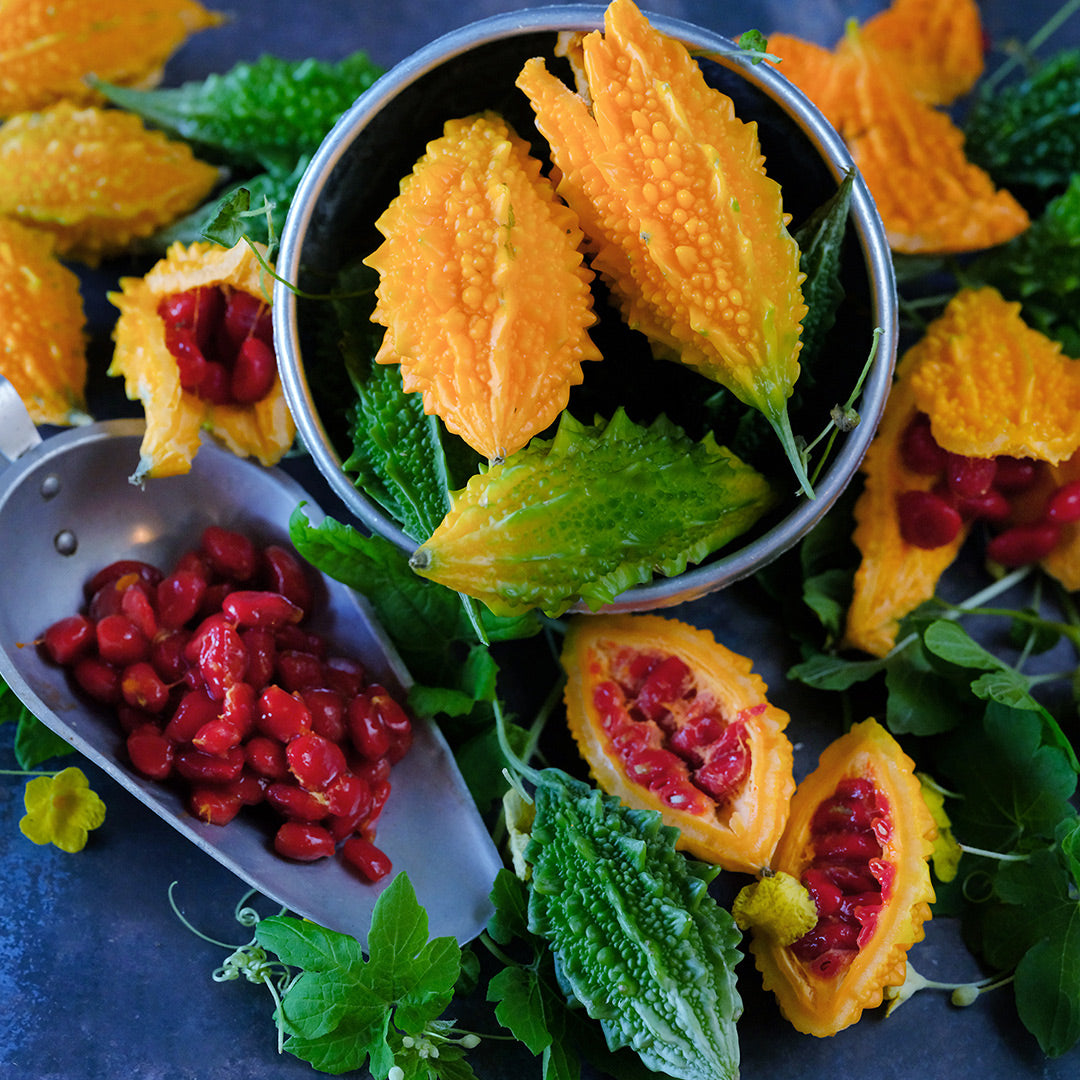 Siamese Bitter Melons in a bowl with seeds and vines.