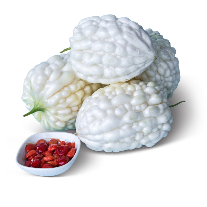 Pearl Goya Bitter Melon stacked on a white background.