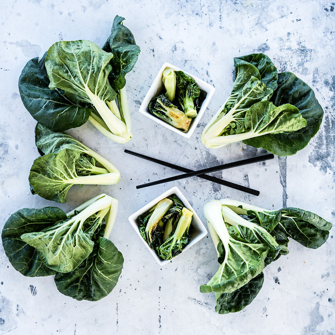 Cooked and fresh Baby Milk Bok Choy on a grey background.