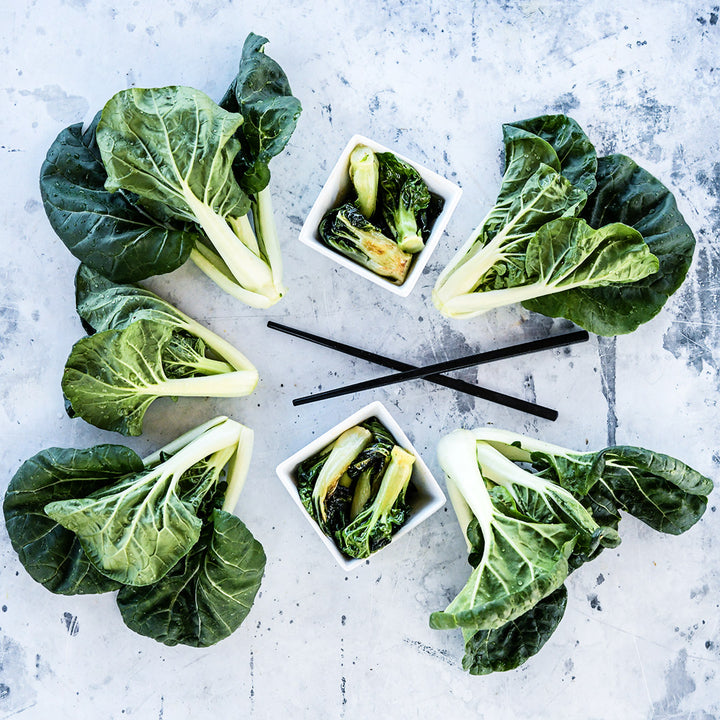 Cooked and fresh Baby Milk Bok Choy on a grey background.