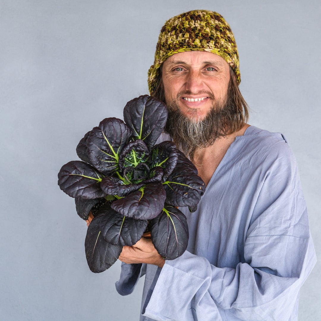 Bok Choy Seeds, Purple Lady