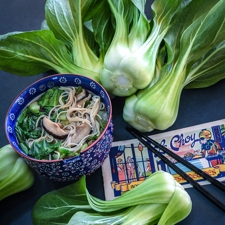 Suzhou Baby Bok Choy with a bowl of noodles and a vintage recipe pamphlet.