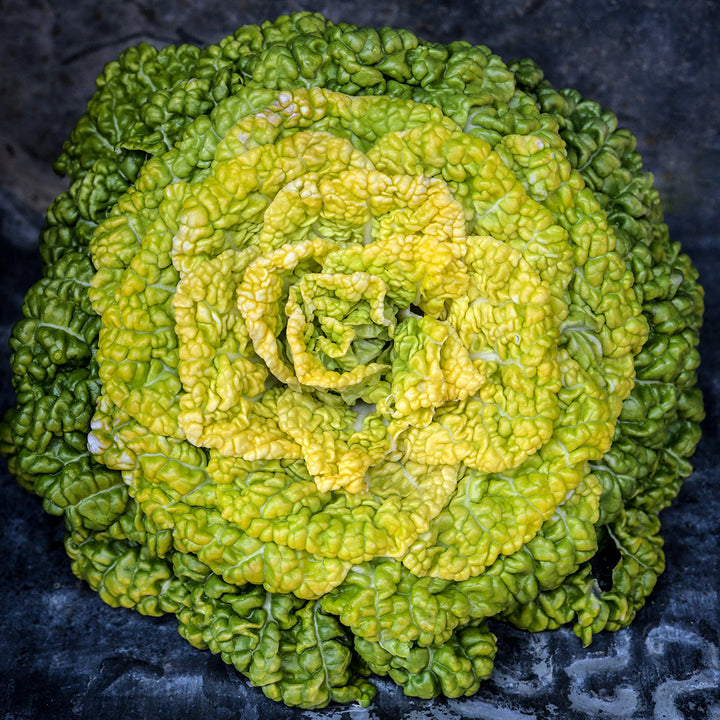 A top view of a head of Yellow Heart Winter Choy on a dark metal background.