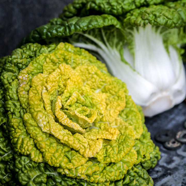 Two heads of Yellow Heart Winter Choy on dark metal background.