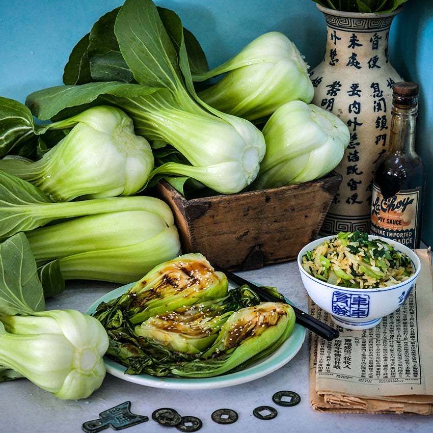 Bok Choy Seeds, Shanghai Green