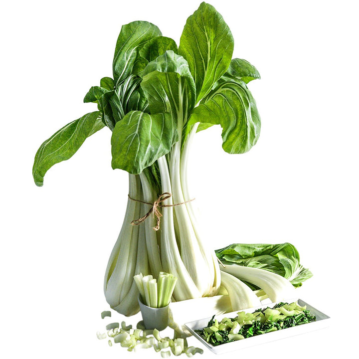 Bundled Snow White Bok Choy on a white background.