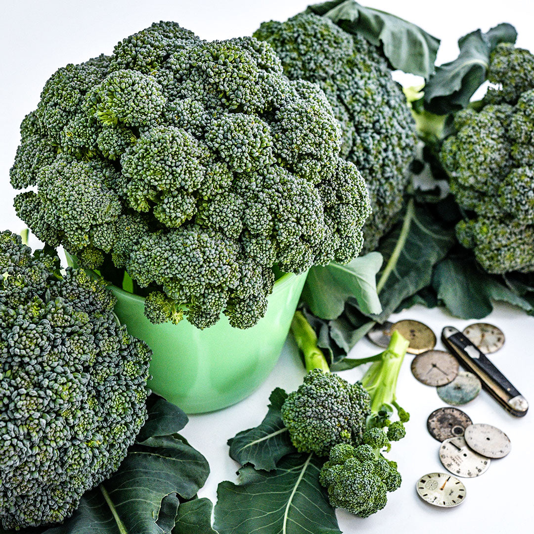 Rasmus Broccoli Seeds | Baker Creek Heirloom Seeds
