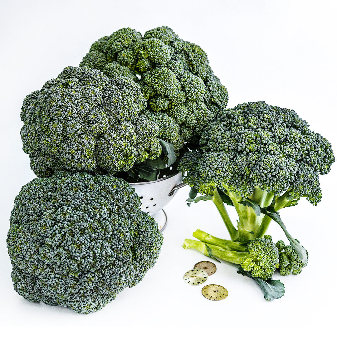 Rasmus Broccoli in a colander surrounded by several heads on a white background.
