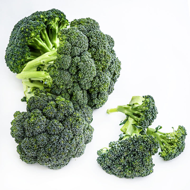 Several heads of Rasmus Broccoli on a bright white background.