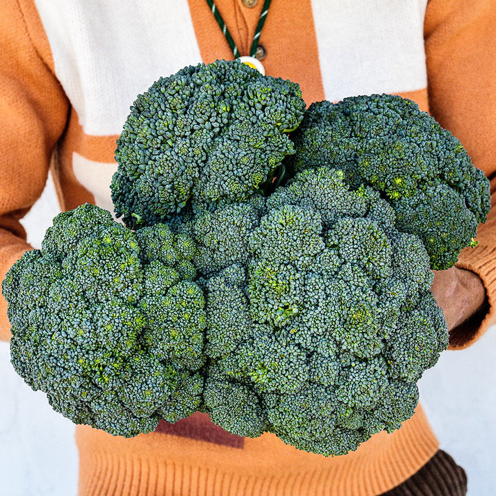 A gardener holding a massive bouquet of Rasmus Broccoli with a crazy 70s sweater on.