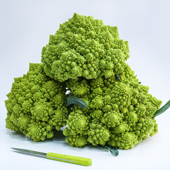 A trio of Romanesco Italia Cauliflower with a matching green handled knife on a white background.
