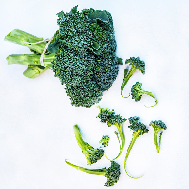 An overhead view of Waltham 29 Broccoli heads surrounded by florets of broccoli on a white background.