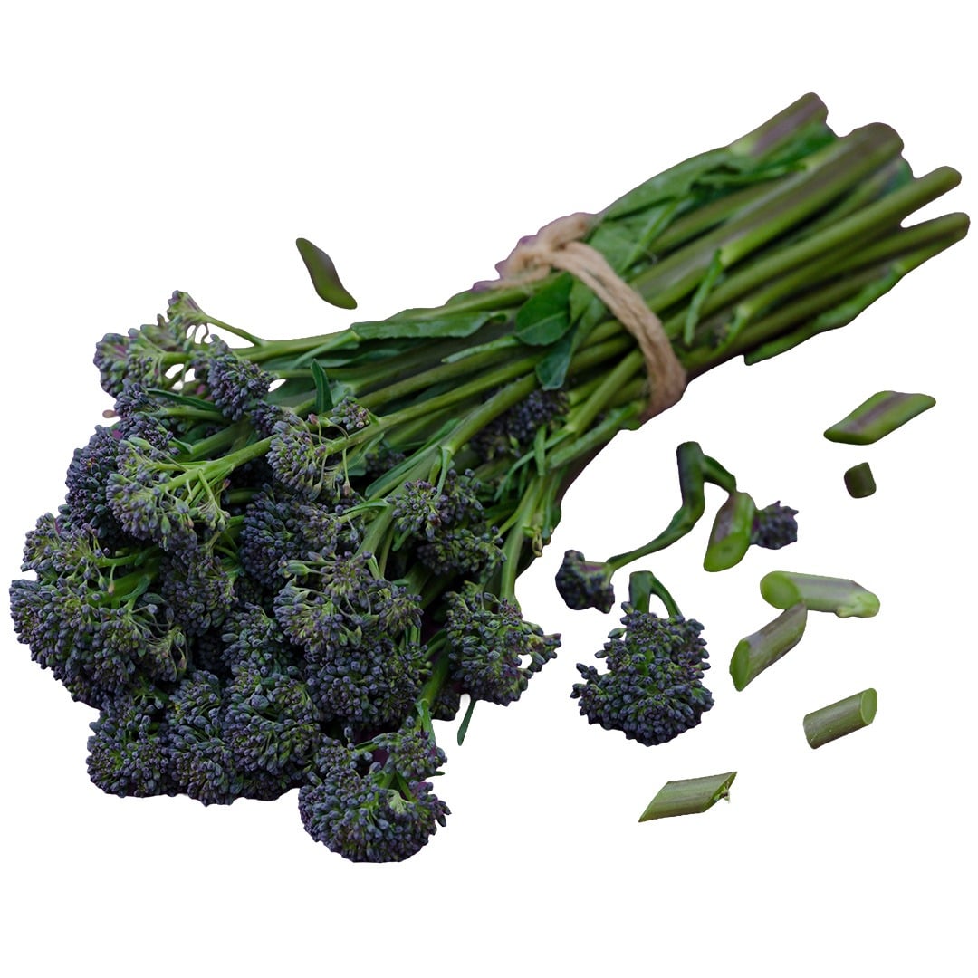 Close up of Early Purple Sprouting Broccoli on a white background.