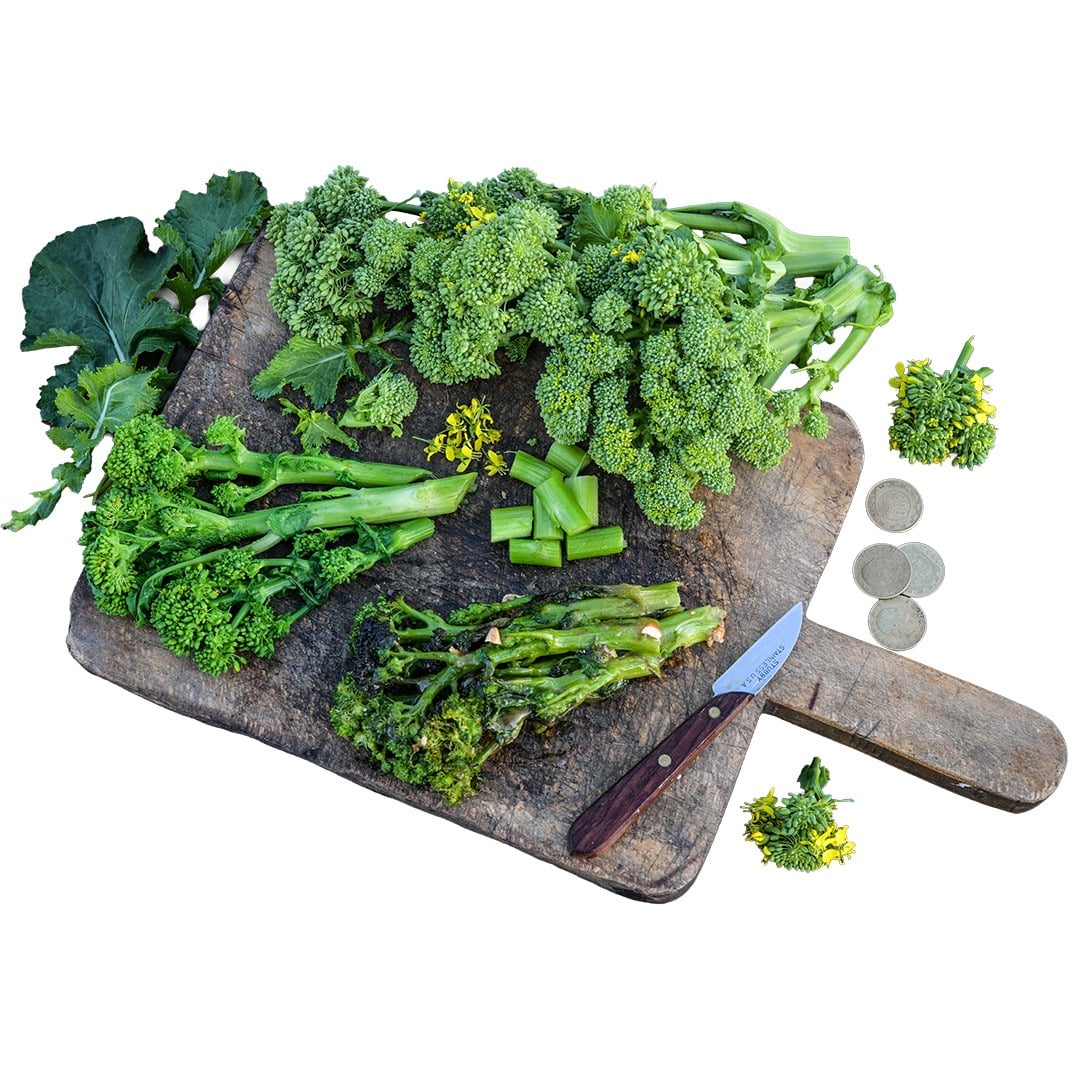 Broccoli Rabe Seeds, Natalina Di Fasano Cima Grande