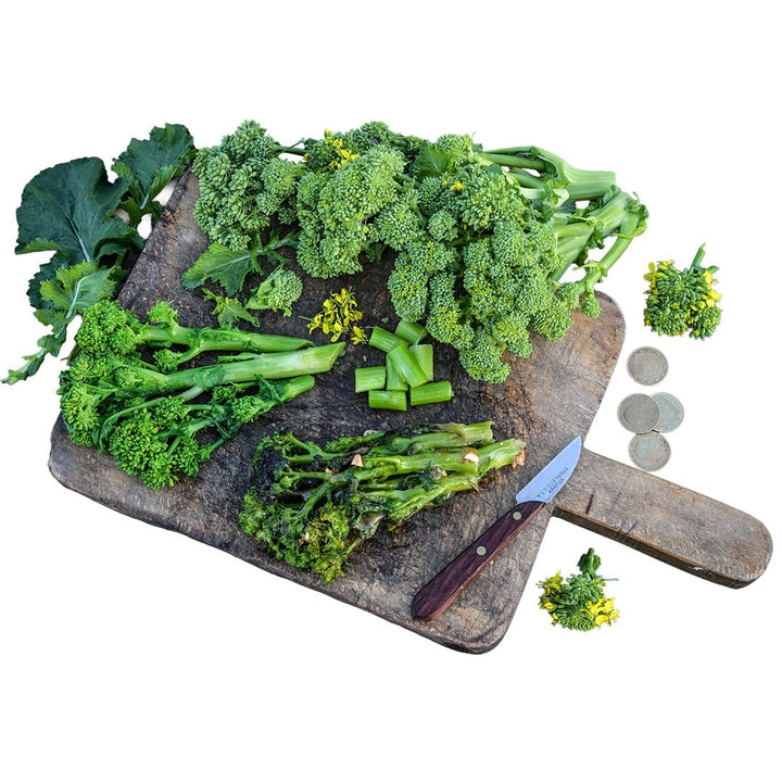 Broccoli Rabe Seeds, Natalina Di Fasano Cima Grande